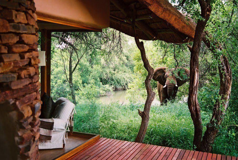 Sanctuary Makanyane Safari Lodge Madikwe viltreservat Exteriör bild